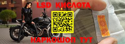 шишки Кимры