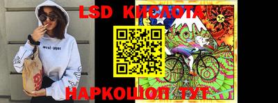 шишки Кимры