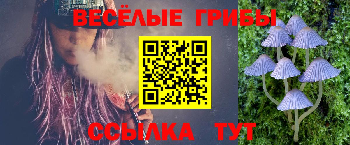 Псилоцибиновые грибы мицелий  Вход с VPN  наркота  Тайшет 